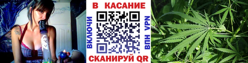 Виды наркотиков купить Зея Галлюциногенные грибы  Бошки Шишки  СК  Меф  ГАШИШ 