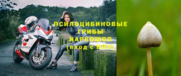 амф Алексеевка
