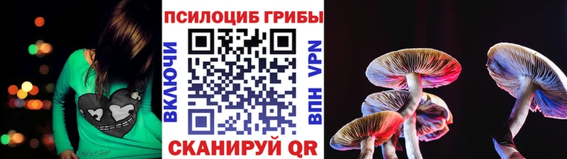 Галлюциногенные грибы Magic Shrooms  OMG сайт  Зея  наркота 